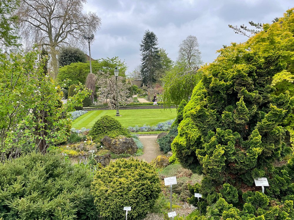 De historische Kruidtuin van Leuven met tropische serre